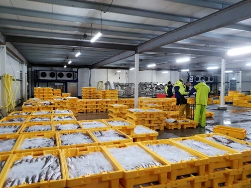 nandikoti_Fish cold Storage Room